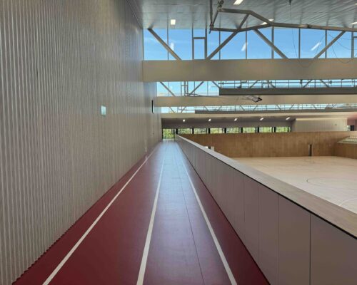 polideportivo de buztintxuri